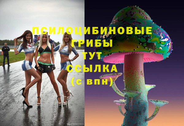 синтетический гашиш Кулебаки