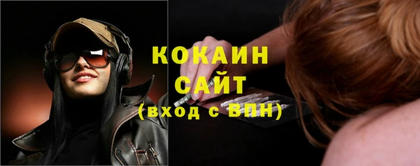 мдпв Кукмор