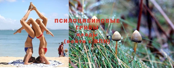 мдпв Кукмор