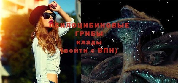 мдпв Кукмор