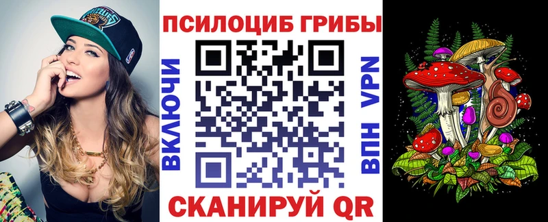 Псилоцибиновые грибы Magic Shrooms  закладки  Тарко-Сале 